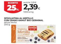 Germinal - Sfogliatina Al Mirtillo Con Grano Kamut Bio