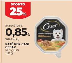 Cesar - Pate Per Cani