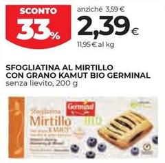 Germinal - Sfogliatina Al Mirtillo Con Grano Kamut Bio