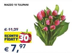 Mazzo 10 Tulipani