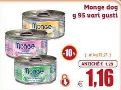 Monge -  Dog