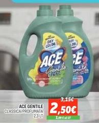 Ace - Gentile