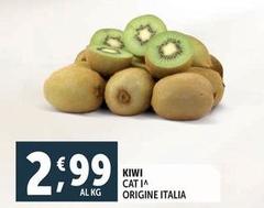 Kiwi Cat I^ Origine Italia 