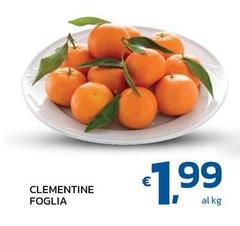 Clementine Foglia