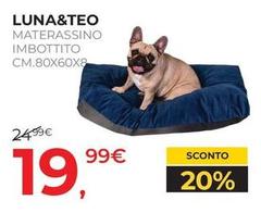 Luna&Teo - Masterassino Imbottito