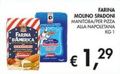 Molino Spadoni - Farina