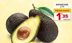 Basso - Avocado Hass