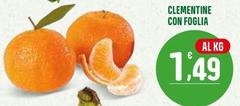 Clementine Con Foglia