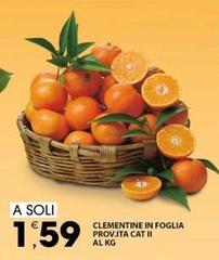 Clementine In Foglia Prov.ita Cat Ii