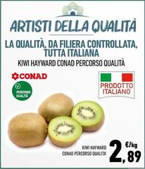 Kiwi Hayward Percorso Qualita