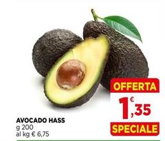 Avocado Hass