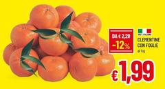 Clementine Con Foglie