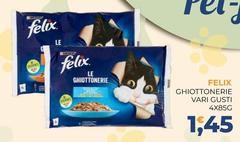 Purina - Felix Ghiottonerie