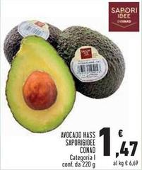 Sapori - Avocado Hass &Idee