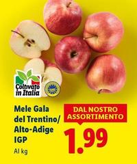 Mele Gala Del Trentino/Alto-Adige IGP