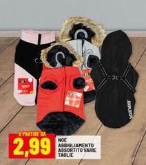 Noe -  Abrbigliamento