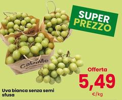 Semi - Uva Bianca Senza  Sfusa