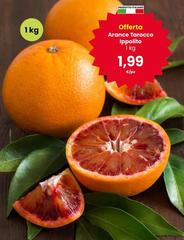 Arance Tarocco Ipporito