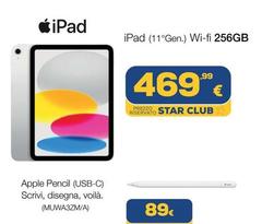 Apple - Ipad (1*gen.) Wi-fi 256gb