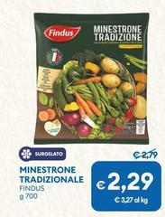 Findus - Minestrone Tradizionale