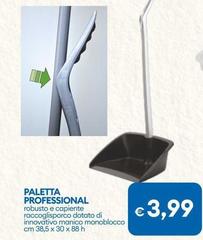 Paletta Professional