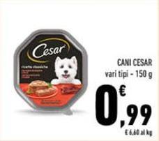 Cesar - Cani