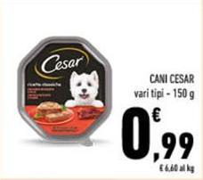 Cesar - Cani