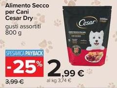 Cesar - Alimento Secco Per Cani Dry
