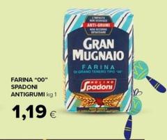 Molino Spadoni - Farina 