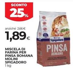 Molini spigadoro - Miscela Di Farina Per Pinsa Romana