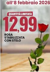 Rosa Stabilizzata Con Stelo