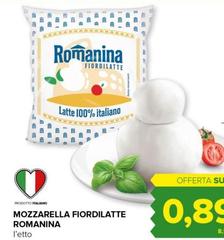 Mozzarella Fiordilatte