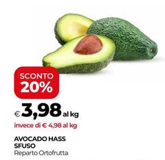 Avocado Hass Sfuso