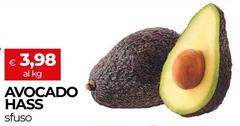 Avocado Hass