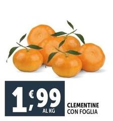 Clementine Con Foglia
