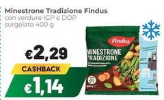 Findus - Minestrone Tradizione