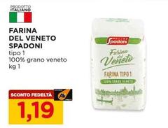 Molino Spadoni - Farina Del Veneto