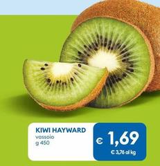 Hayward - Kiwi