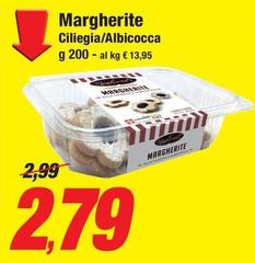 Margherite Ciliegia/Albicocca