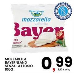 Bayernland - Mozzarella Senza Lattosio