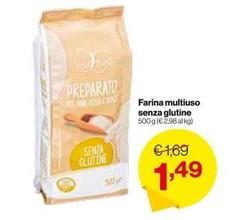 Farina Multiuso Senza Glutine