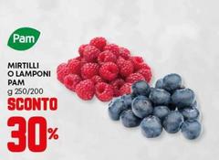 Pam - Mirtilli O Lamponi