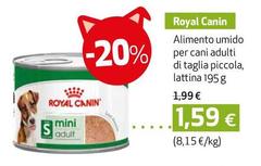 Royal Canin - Alimento Umido Per Cani Adulti Di Taglia Piccola