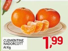 Clementine Nadorcott