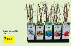 Frutti Minori Mix