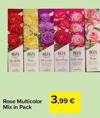 Rose Multicolor Mix In Pack