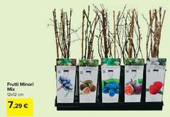 Frutti Minori Mix