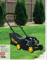 Vigor - Tradicionales Vigar