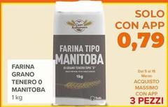 Mulino Bianco - Farina Grano Tenero O Manitoba