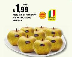 Melinda - Mela Val Di Non DOP Renetta Canada